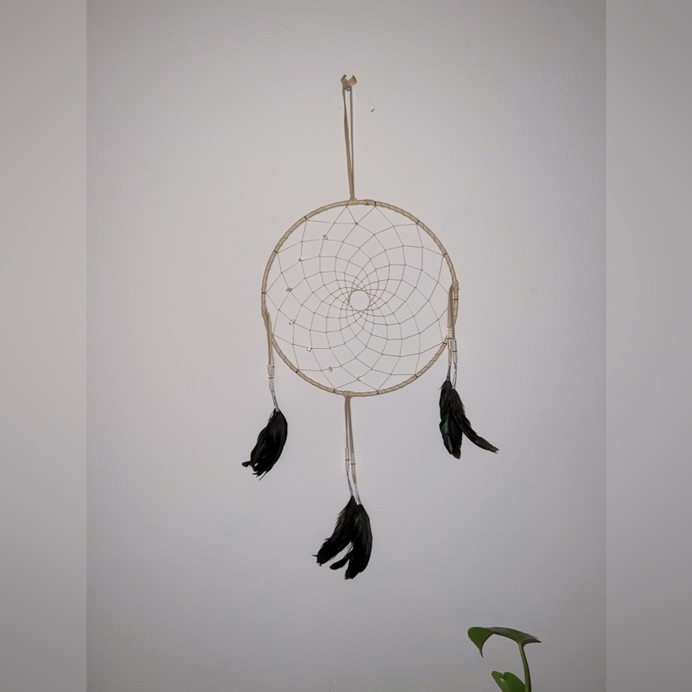 Native American Handmade Dreamcatcher 11 Inch Home Decor